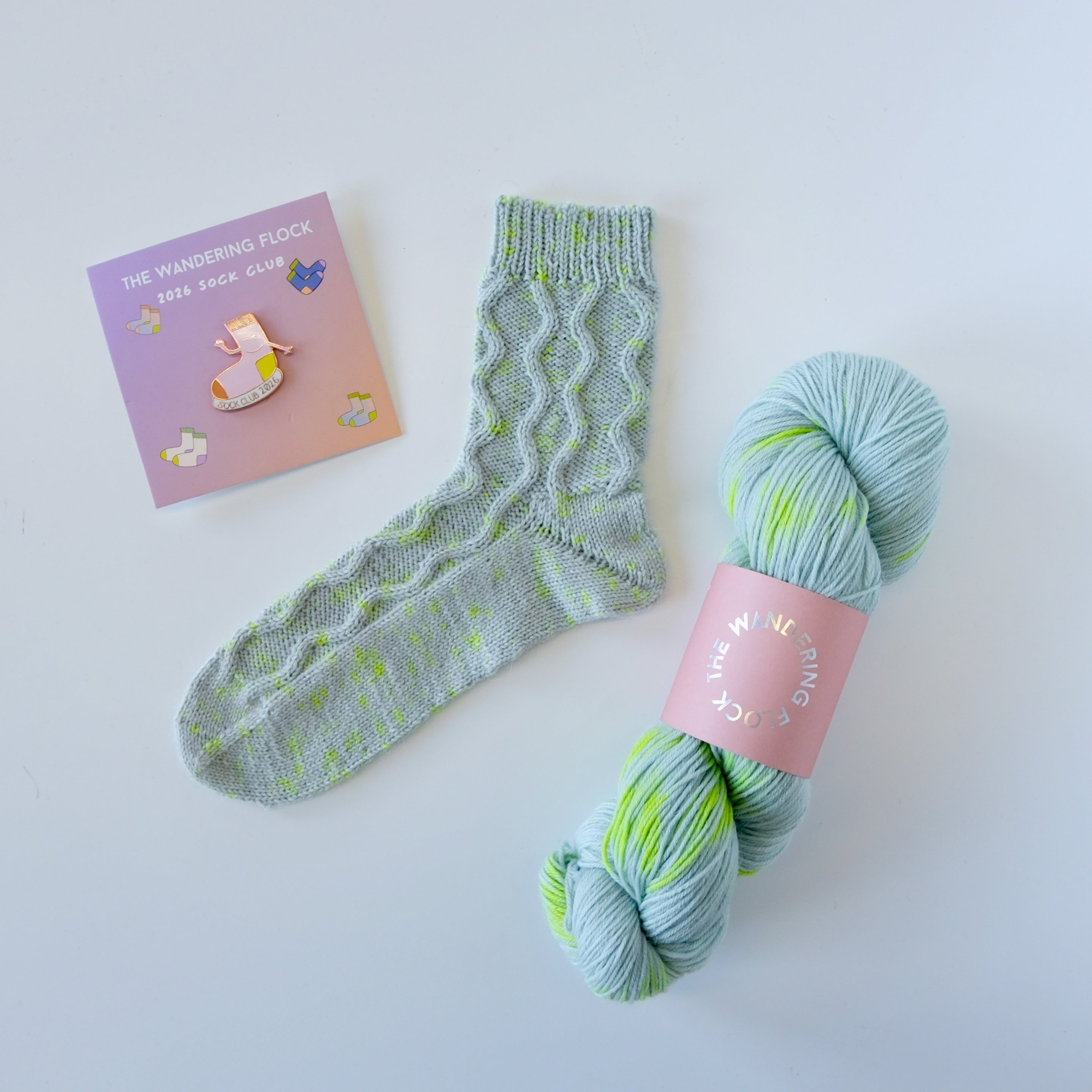 2026 1st Quarter Sock Club Box – The Wandering Flock