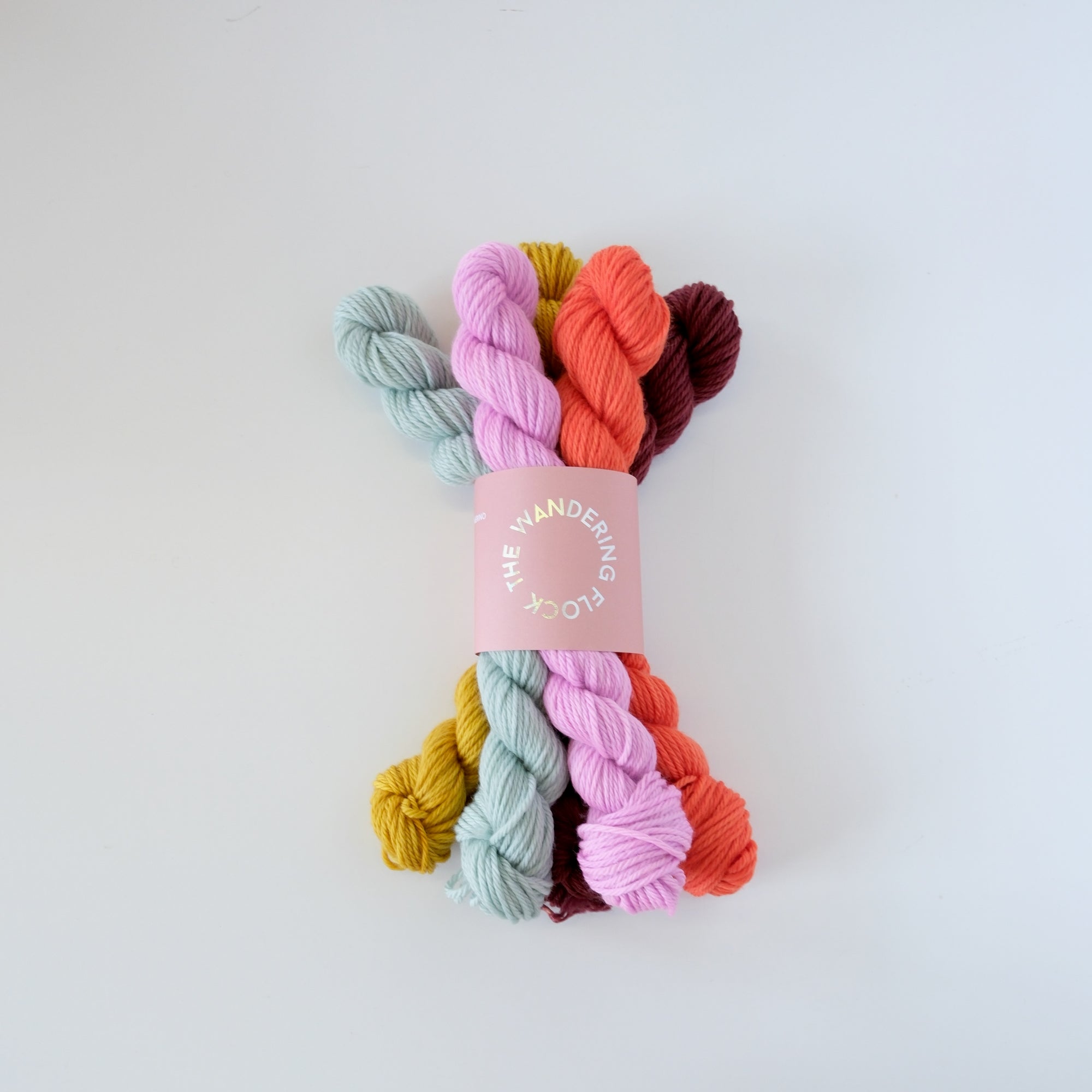 Sardine Mini Bundle